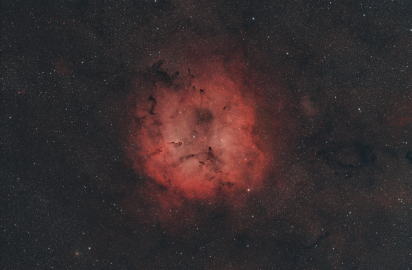 The Elephant Trunk Nebula - Astrophotography