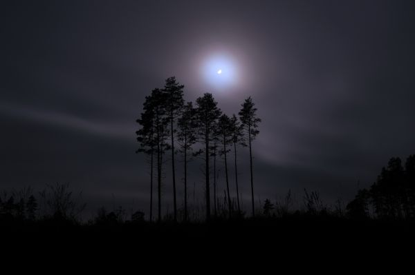Moonrise 12.2024 - Astrophotography