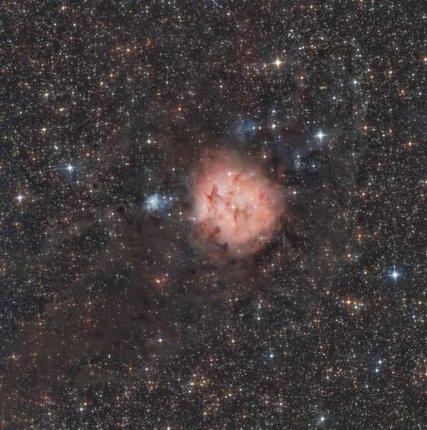IC 5146 - The Cocoon Nebula - Astrophotography