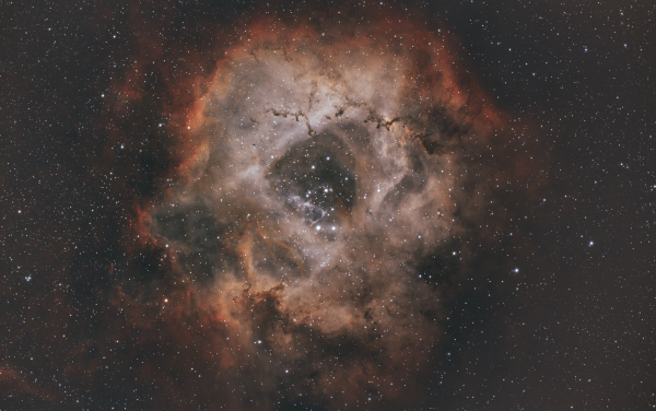 Rosette Nebula and Satellite Cluster (NGC 2244) - Astrophotography