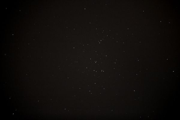 M44 (open star cluster Beehive/Praesepe) - Astrophotography