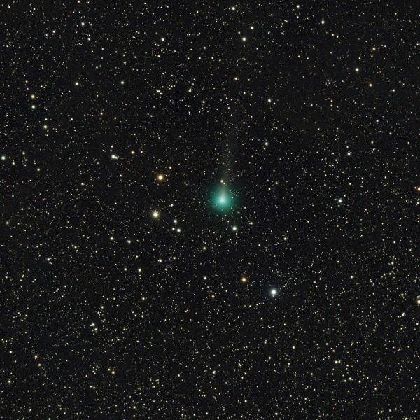 C/2019 Y1 (ATLAS) 23.04.2020 - Astrophotography
