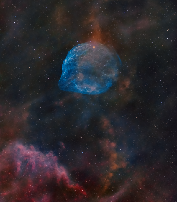 SH2-308 Dolphin Head Nebula - Astrophotography