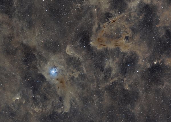 Cepheus Nebulae - reflection nebula NGC 7023 Iris and dark dust nebula LDN1158 Gyulbudaghian - Astrophotography
