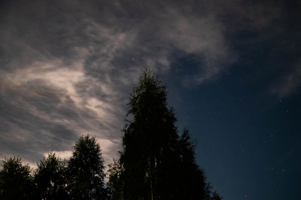 Night Sky - Astrophotography