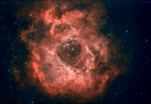 NGC 2238 - Astrophotography