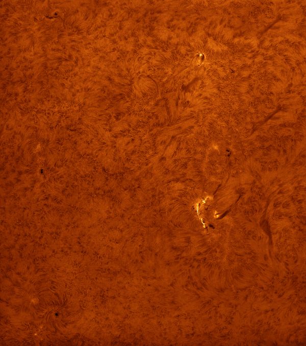 Solar Activity 07.03.2024 - Astrophotography
