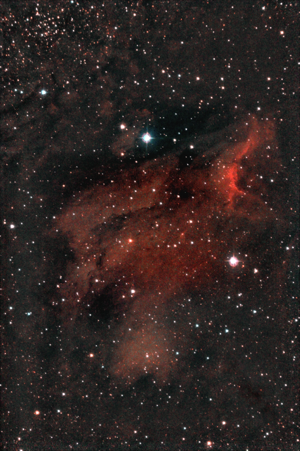 Pelican Nebula in the constellation Cygnus. IC 5070. May 12-13, 2023. - Astrophotography