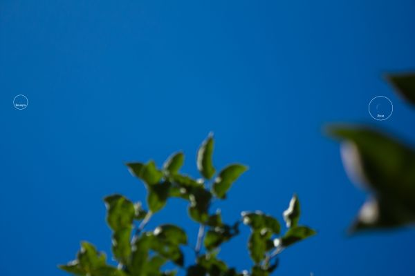 Venus - Astrophotography