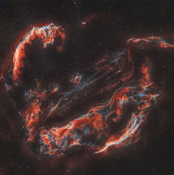 The Cygnus Loop