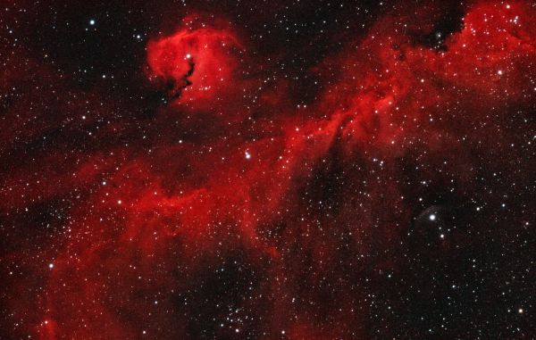 IC 2177 - Seagull Nebula - Astrophotography