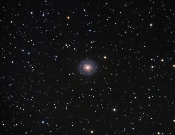 ngc7217 - Astrophotography