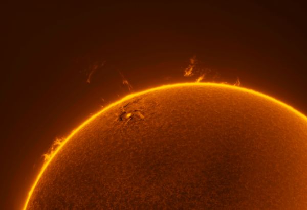 Active Region 3256, March 18, 2023 - Astrophotography