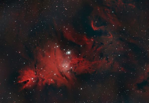 NGC 2264 Cone Nebula and Christmas Tree Cluster - Astrophotography