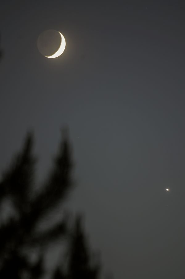 The Moon and Venus - Astrophotography