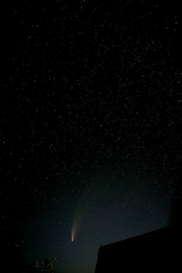 Comet C/2020 F3 - Astrophotography