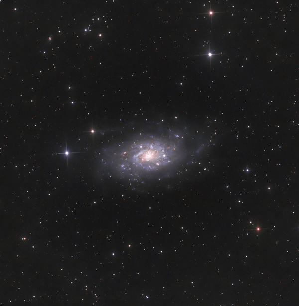 NGC 2403 - Astrophotography