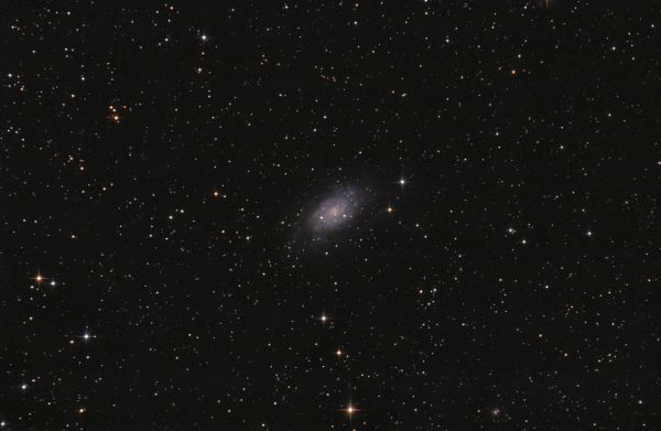 NGC 2403 - Astrophotography