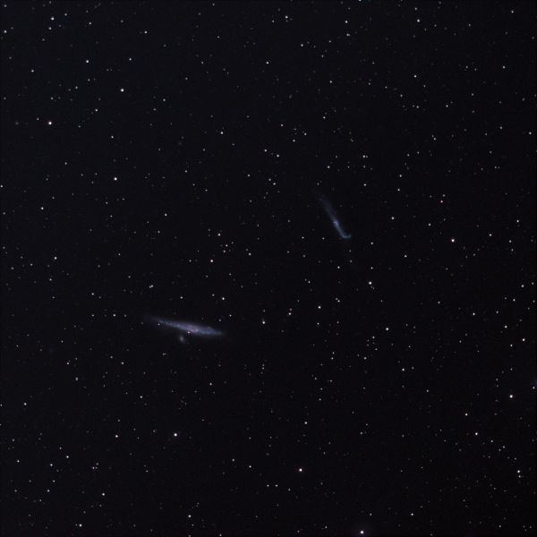 Galaxy of the Whale and Hockey Stick in SW 1025 f5 - Astrophotography