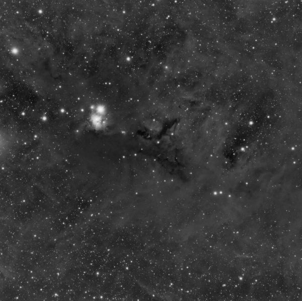 Vicinity of Omicron Persei - Astrophotography
