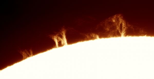 Solar Prominences 07.03.2024 - Astrophotography