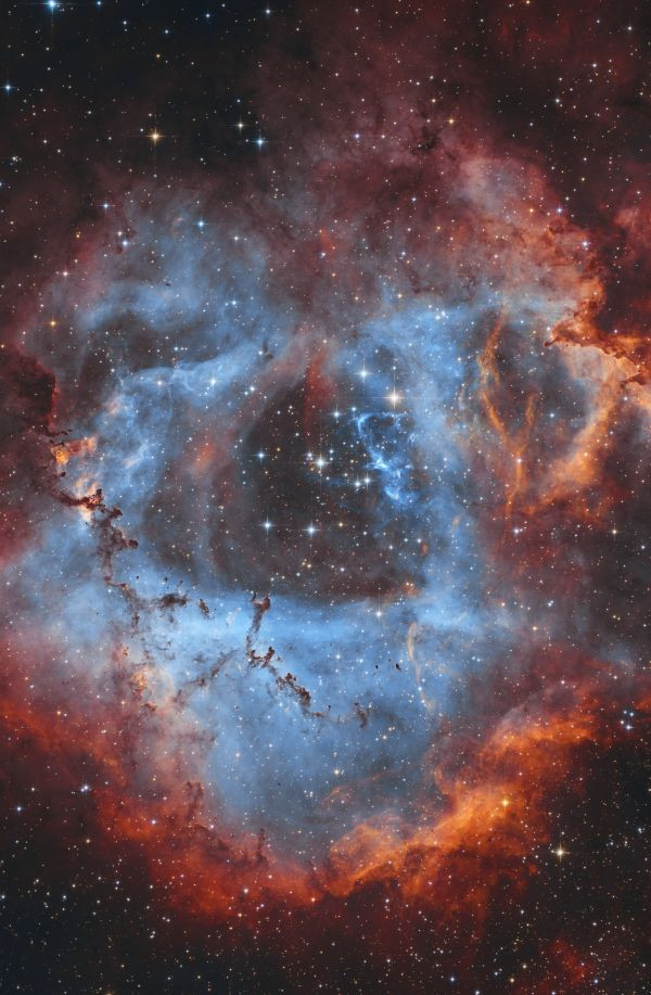 NGC2237 - Astrophotography
