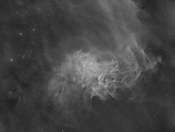 31 Flaming Star - Astrophotography