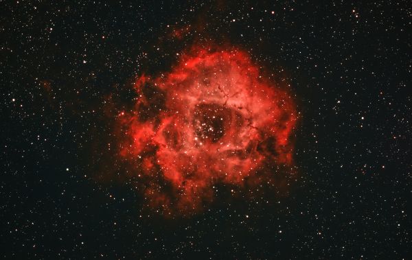 NGC 2237 Rosette Nebula - Astrophotography