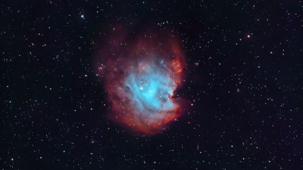 NGC 2175 Monkey Head - Astrophotography
