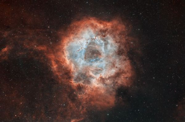 The Rosette Nebula (NGC 2237, Rosette Nebula