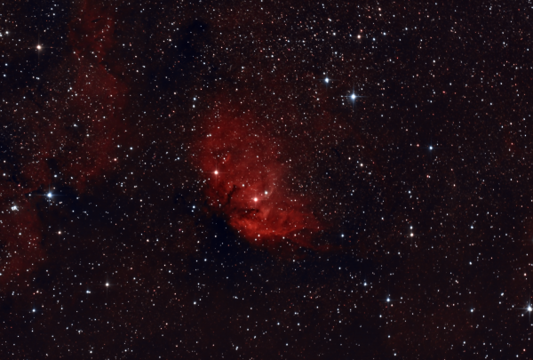 Sh2-101 - The Tulip Nebula - Astrophotography