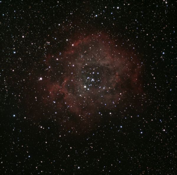 NGC 2244 - The Rosette - Astrophotography