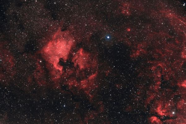 HYDROGEN NEBULOSITIES AT CYGNUS - Astrophotography