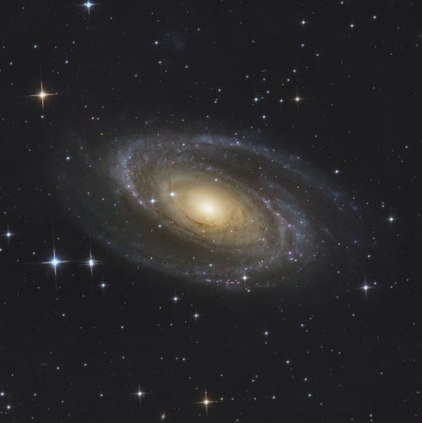 M81 - Astrophotography