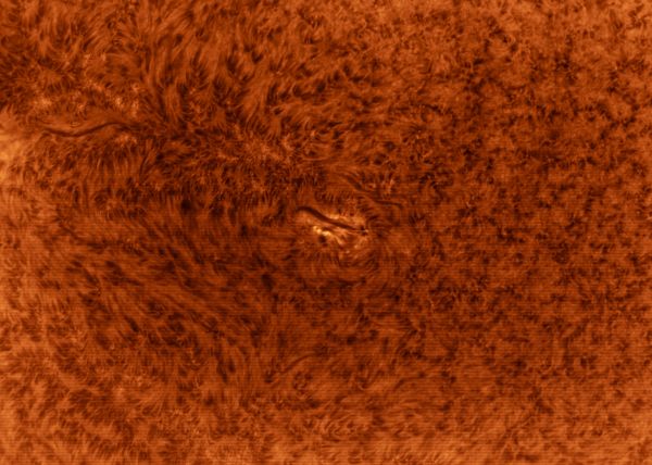 Active Region 3029 in H-alpha - Astrophotography