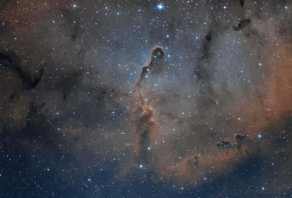 IC1396 "Elephant's Trunk Nebula" - Astrophotography