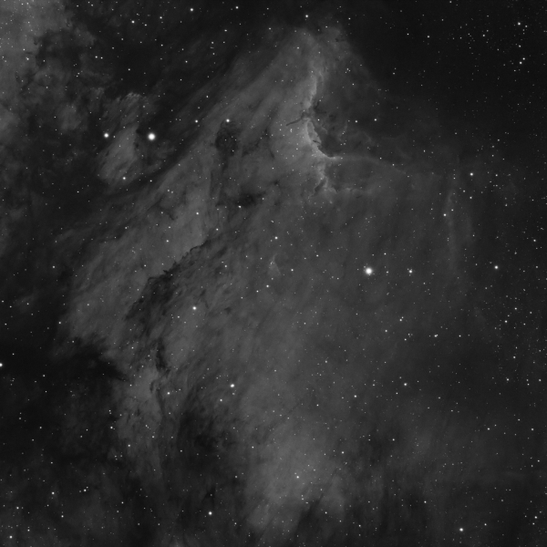 Pelican Nebula IC 5070 in H-Alpha line (First light ZWO ASI533MM) - Astrophotography