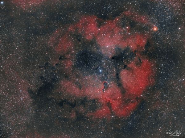 IC1396, Elephant's trunk nebula - Astrophotography
