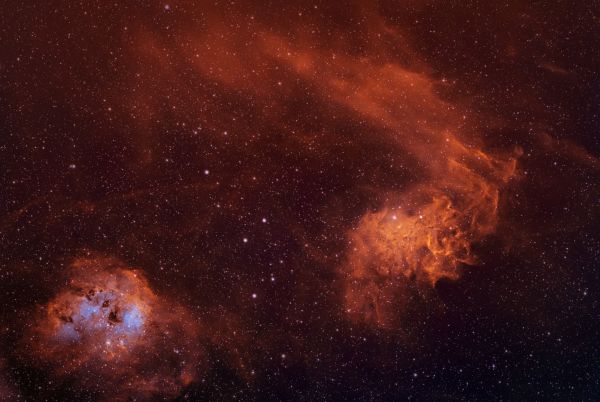 The Flaming Star Nebula and the Tadpoles - Astrophotography