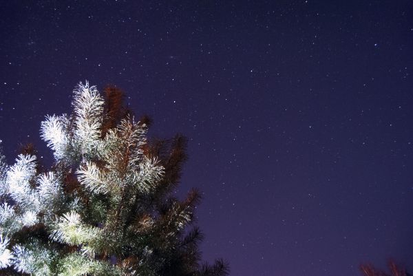 Starry sky - Astrophotography