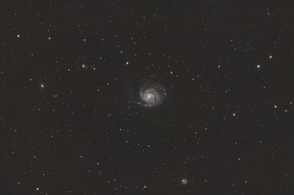 M 101 (The Pinwheel Galaxy) - Astrophotography