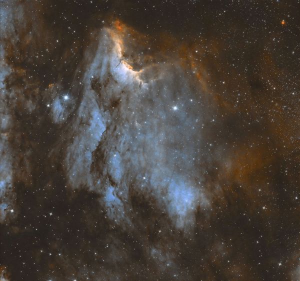 Pelican - Astrophotography