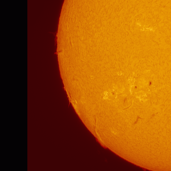 Animation of a region of the Sun from August 4 - Astrophotography