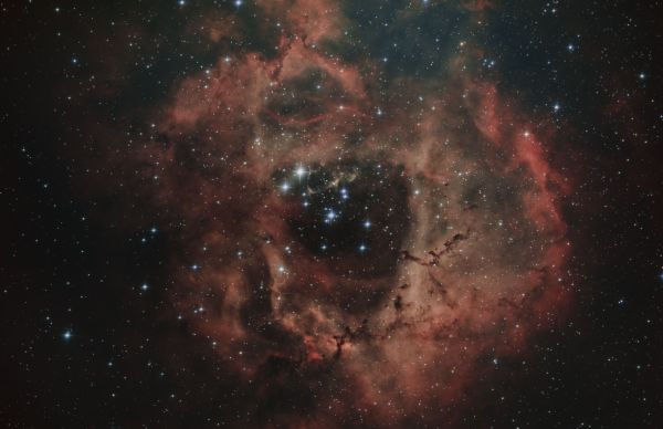NGC 2244 - Astrophotography
