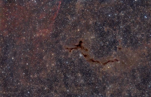 Seahorse Nebula - Astrophotography