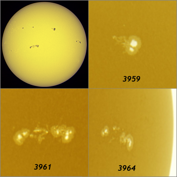 Solar activity 19.01.2025 - Astrophotography