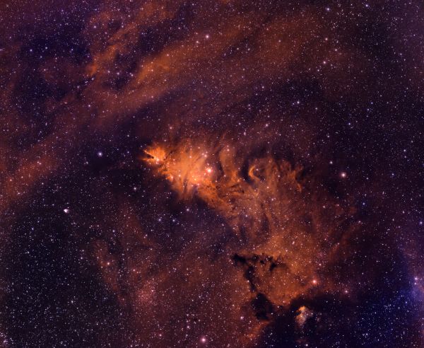 The Fox Fur Nebula (also known as the Cone Nebula) - Astrophotography