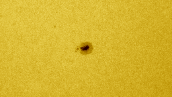 Sunspot 2999 - Astrophotography