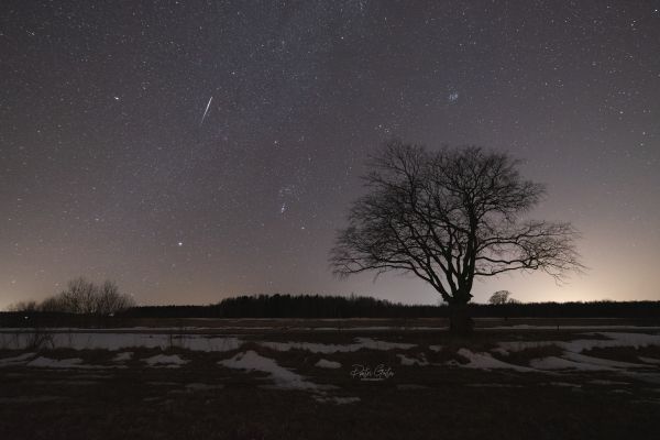 Sirius, Orion, Pleiades & meteor - Astrophotography