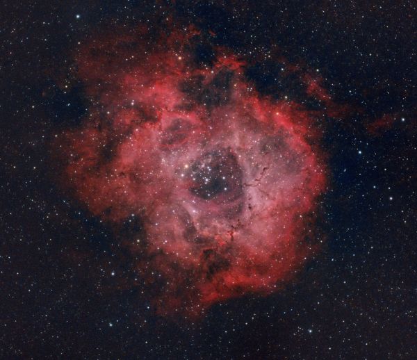Rosette Nebula (NGC 2238) - Astrophotography